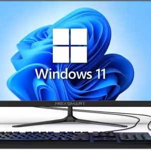 Microsoft Windows 11 Pro License